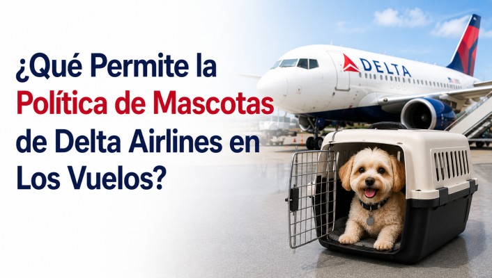 ¿Qué Permite la Política de Mascotas de Delta Airlines en Los Vuelos?
