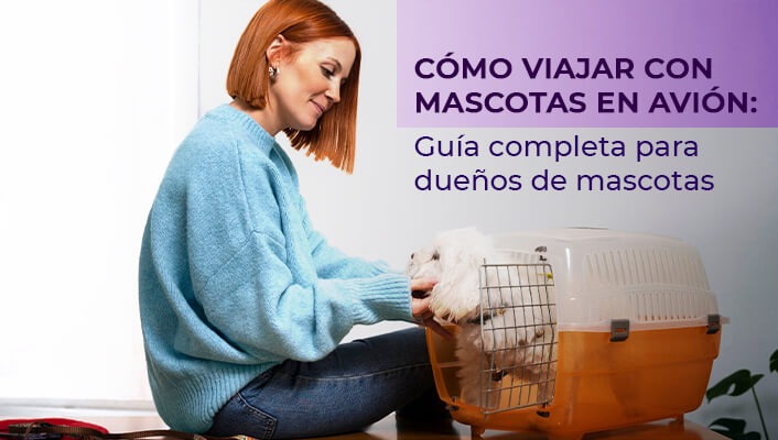 Cómo viajar con mascotas en avión: Guía completa para dueños de mascotas