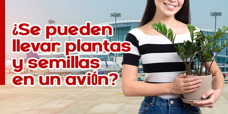 ¿Se pueden llevar plantas y semillas en un avión?